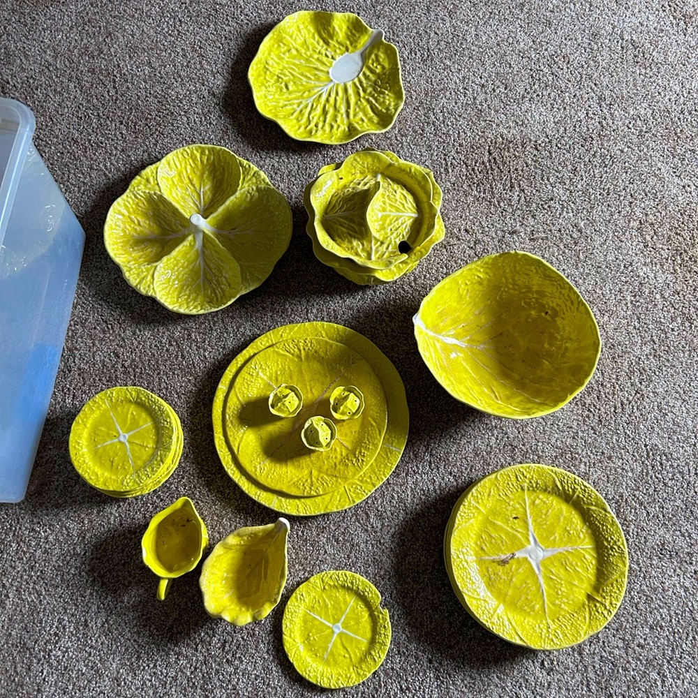 Yellow Portuguese Cabbage set (partial)